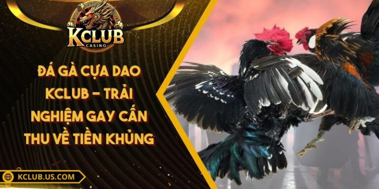 Đá gà cựa dao KCLUB - Trải Nghiệm Gay Cấn Thu Về Tiền Khủng 4 Đá gà cựa dao KCLUB - Trải Nghiệm Gay Cấn Thu Về Tiền Khủng