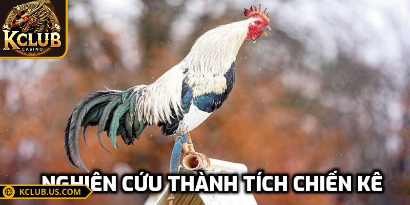 Đá gà cựa dao KCLUB - Trải Nghiệm Gay Cấn Thu Về Tiền Khủng 3 Quan sát chiến kê trước khi cược là cần thiết