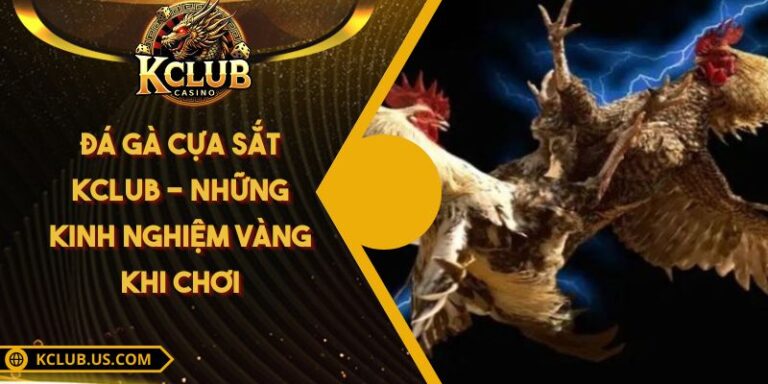 Đá Gà Cựa Sắt KCLUB - Những Kinh Nghiệm Vàng Khi Chơi 2 Đá Gà Cựa Sắt KCLUB - Những Kinh Nghiệm Vàng Khi Chơi