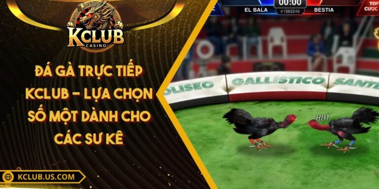 Đá Gà Trực Tiếp KCLUB - Lựa Chọn Số Một Dành Cho Các Sư Kê 6 Đá Gà Trực Tiếp KCLUB - Lựa Chọn Số Một Dành Cho Các Sư Kê