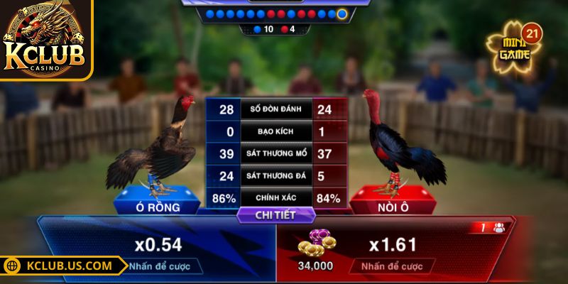 Đá Gà Trực Tiếp KCLUB - Lựa Chọn Số Một Dành Cho Các Sư Kê 3 Lựa chọn tham gia trận đấu phù hợp