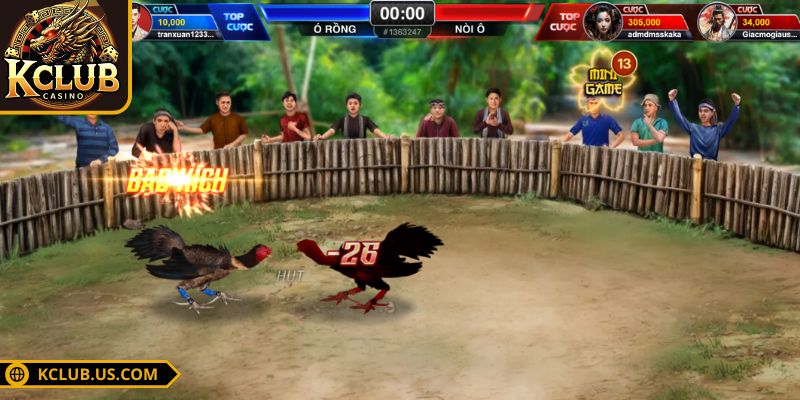 Đá Gà Trực Tiếp KCLUB - Lựa Chọn Số Một Dành Cho Các Sư Kê 2 Tạo tài khoản cá nhân tại nền tảngTạo tài khoản cá nhân tại nền tảng