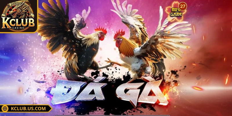 Đá Gà Trực Tiếp KCLUB - Lựa Chọn Số Một Dành Cho Các Sư Kê 1 Tóm lược về đá gà trực tiếp KCLUB