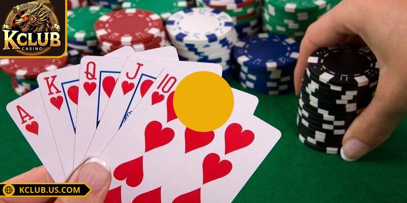 Giới thiệu thông tin chi tiết về sâm lốc KCLUB 